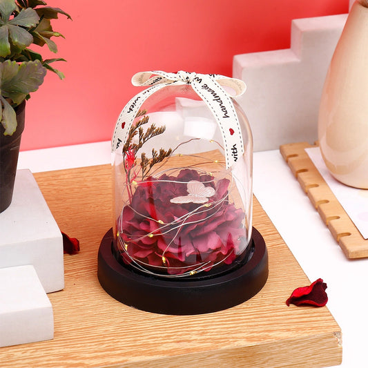 Archies Burgundy Petal Dome with Butterfly & Lights