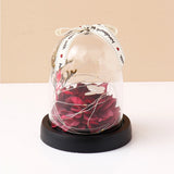 Archies Burgundy Petal Dome with Butterfly & Lights