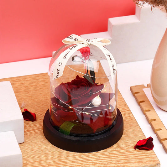 Archies Maroon Rose Dome with Fairy Lights & Ribbon