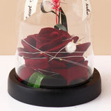 Archies Maroon Rose Dome with Fairy Lights & Ribbon