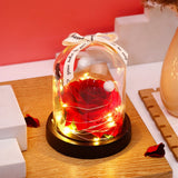 Archies Red Rose Dome with Fairy Lights & Ribbon
