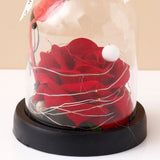 Archies Red Rose Dome with Fairy Lights & Ribbon