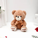 Imperial Crown Pendant Earing Set with Brown Teddy