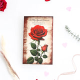 For My Special Someone Greeting Card With Rose and Chocolates