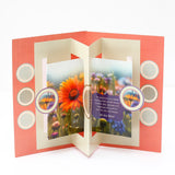 Pack Of 2 Cheerful Best Wishes Greeting Card