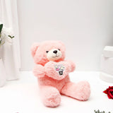 Romantic Heart Plush Teddy Bear - Pink