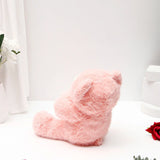 Romantic Heart Plush Teddy Bear - Pink