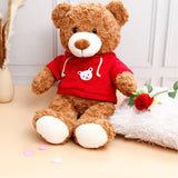 Single Rose With Classic Brown Teddy in Red Hoodie