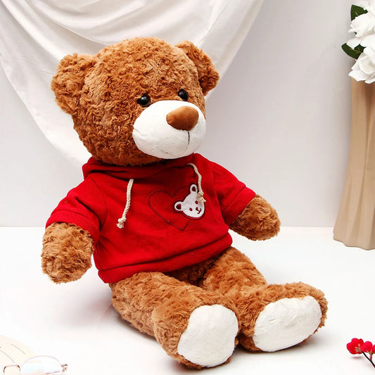Classic Brown Teddy in Red Hoodie