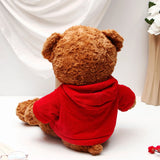 Classic Brown Teddy in Red Hoodie