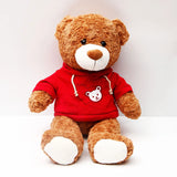 Classic Brown Teddy in Red Hoodie