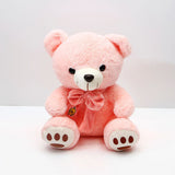 Ultra-Soft Plush Cuddly Teddy Bear - Pink