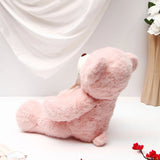 Adorable Cuddle Teddy Bear - Pink
