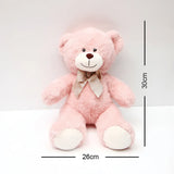 Adorable Cuddle Teddy Bear - Pink