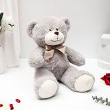 Adorable Cuddle Teddy Bear - Grey
