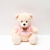 Be Happy Teddy Bear in Pink Hoodie