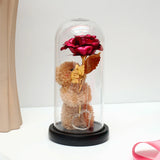 Pink Rose Teddy Bear LED Jar