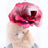 Teddy Bear Rose Glass Dome
