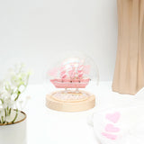 Pink Sailing Ship Glass Dome LED Night Light