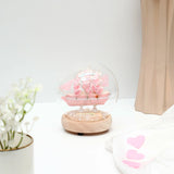 Pink Sailboat Glass Dome Decorative LED Light
