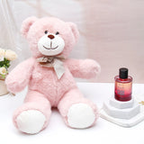 Blush Bow Teddy & Dream Girl Perfume Rakhi Combo