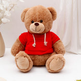 Brown Teddy Bear Soft Toy with Red Hoodie