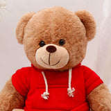 Brown Teddy Bear Soft Toy with Red Hoodie