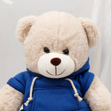 Beige Teddy Bear Soft Toy with Blue Hoodie