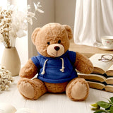 Brown Teddy Bear Soft Toy with Blue Hoodie