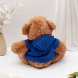 Brown Teddy Bear Soft Toy with Blue Hoodie