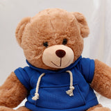 Brown Teddy Bear Soft Toy with Blue Hoodie