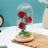 Archies Red Rose Bouquet LED Glass Dome Showpiece