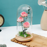 Archies Blush Pink Rose Bouquet LED Glass Dome Showpiece