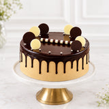 Jade Plant with Eggless Chocolate Cream Cake