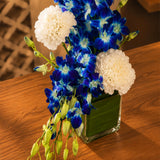 White Carnation & Blue Orchid Square Vase Arrangement