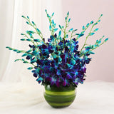 10 Blue Orchids Fish Bowl Arrangement