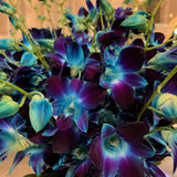 10 Blue Orchids Fish Bowl Arrangement