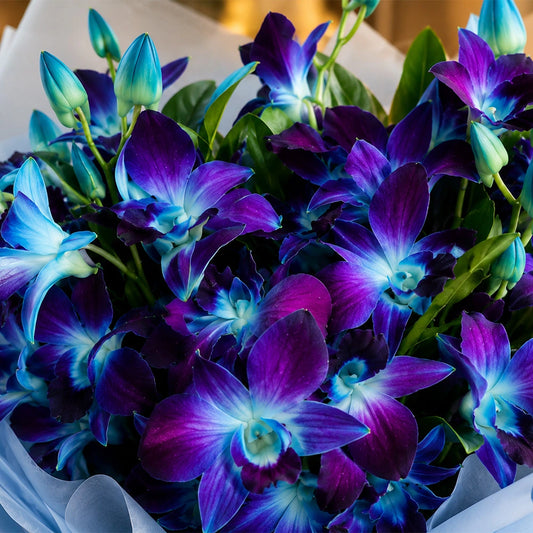 6 Blue Orchids Rustic Jute Bouquet - Exotic Anniversary & Birthday Gift