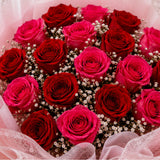 10 Pink & 10 Red Roses Two-Tone Dual Affair Bouquet