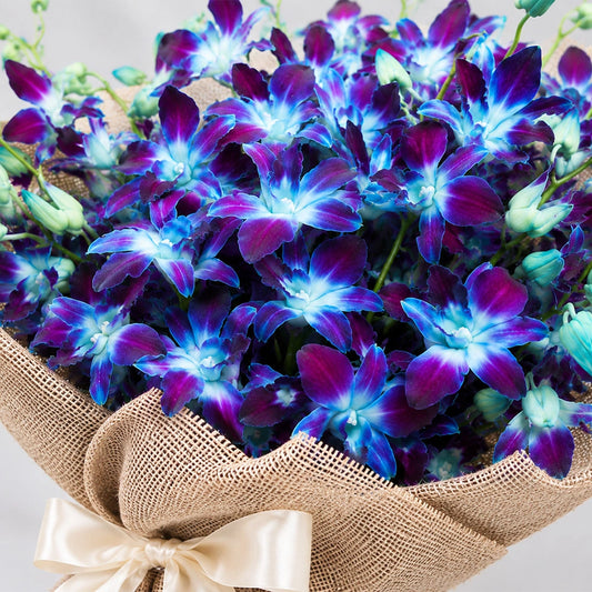 Orchid with Cake Combo - Same Day Delivery | Archies