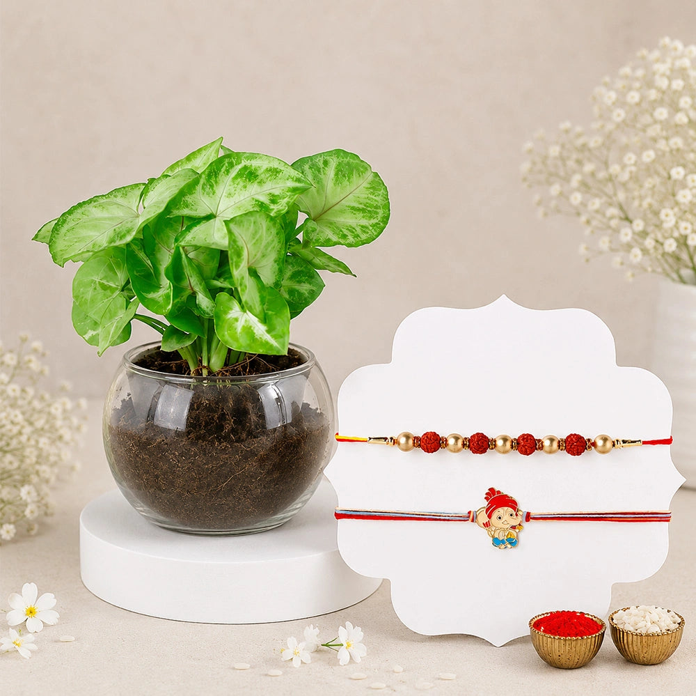 Rudraksha & Bal Ganesha Rakhi with Golden Syngonium Plant | Spiritual Rakhi Gift