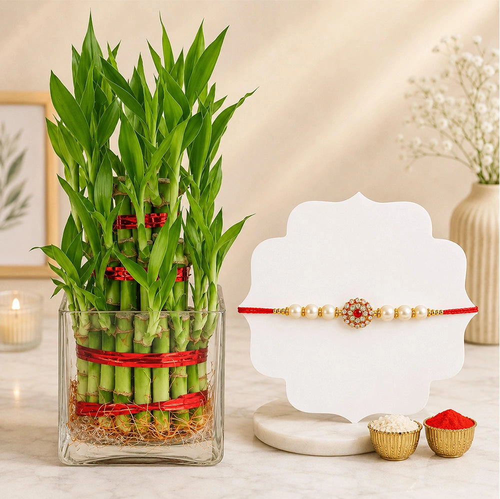 Pearl Rakhi with 2-Layer Lucky Bamboo Plant | Raksha Bandhan Plant Gift