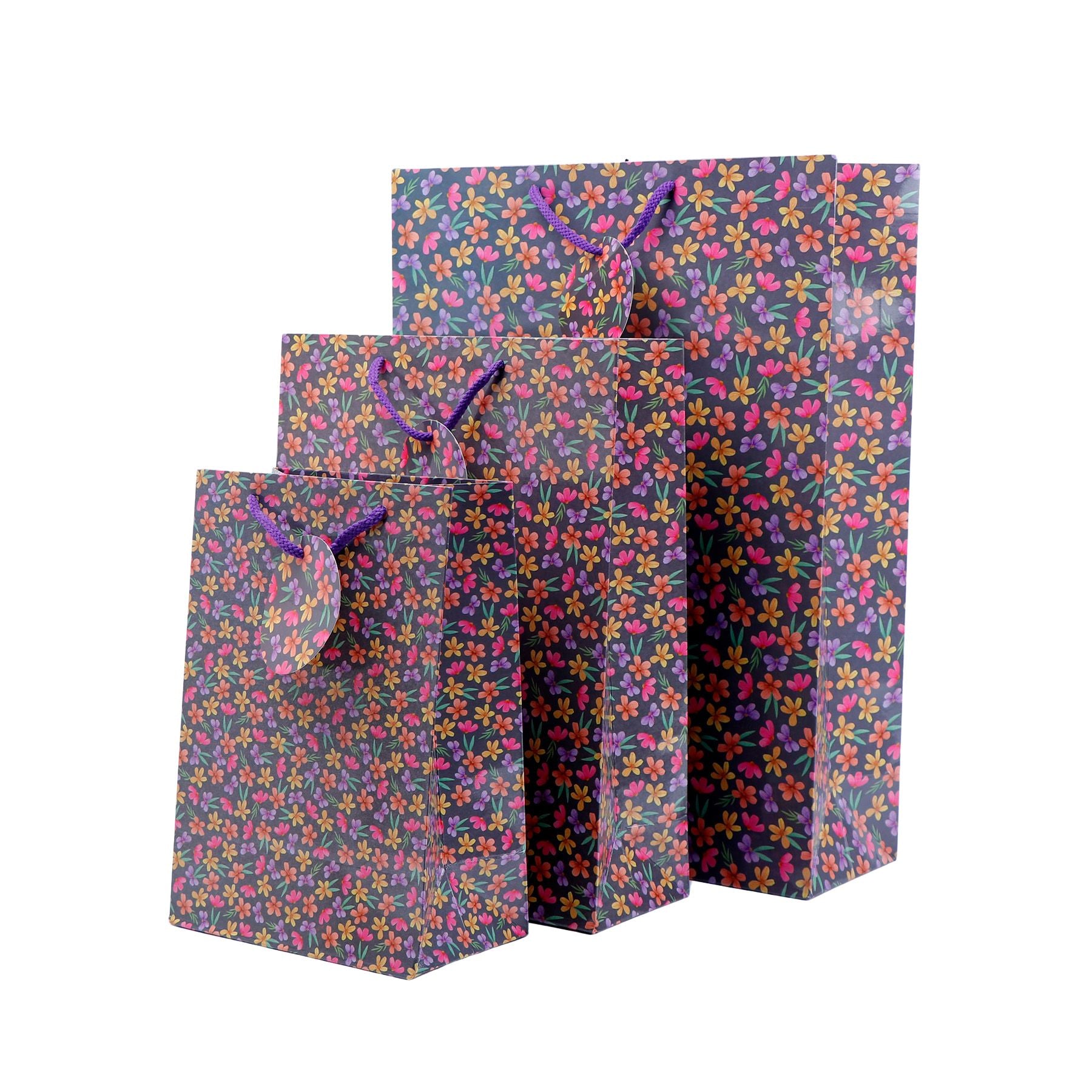 Little Flowers Print Paper Bags Pack of 3 (S/M/L)