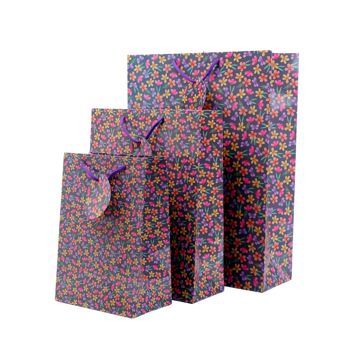 Little Flowers Print Paper Bags Pack of 3 (S/M/L)