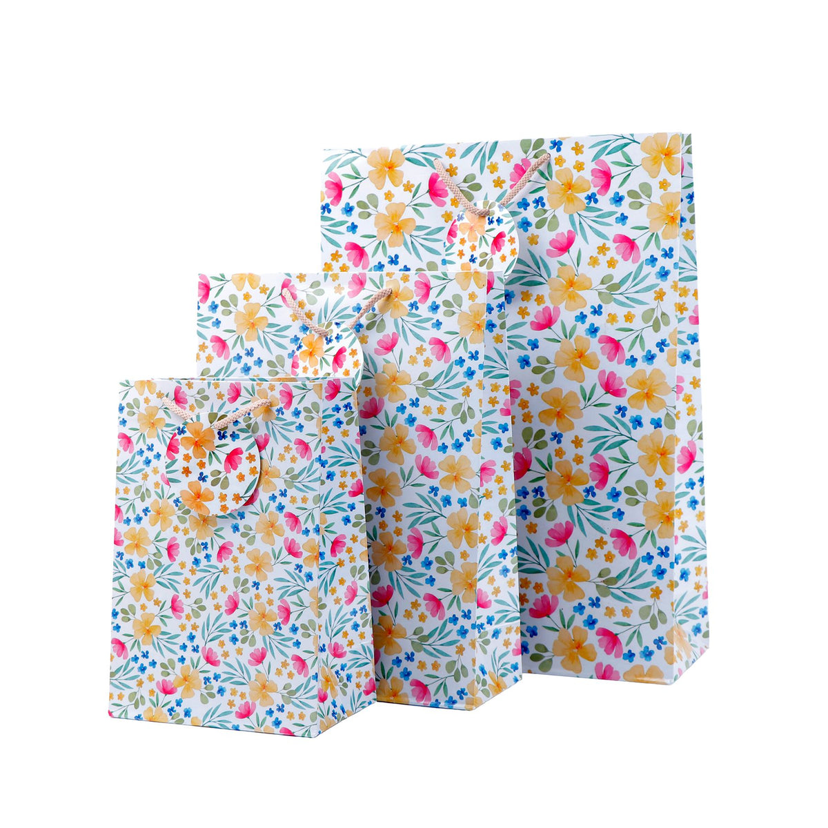 Wind of Spring Paper Bags Pack of 3 (S/M/L)