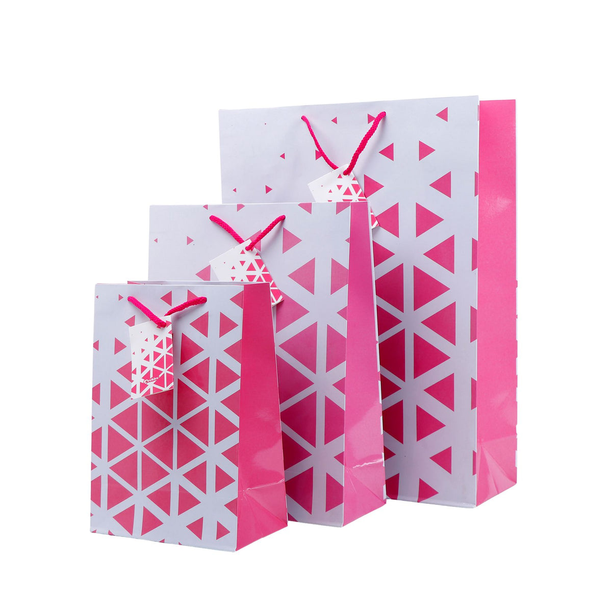 Abstract Triangle Print Paper Bags Pack of 3 (S/M/L)