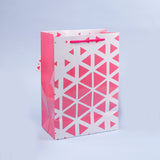 Abstract Triangle Print Paper Bags Pack of 3 (S/M/L)