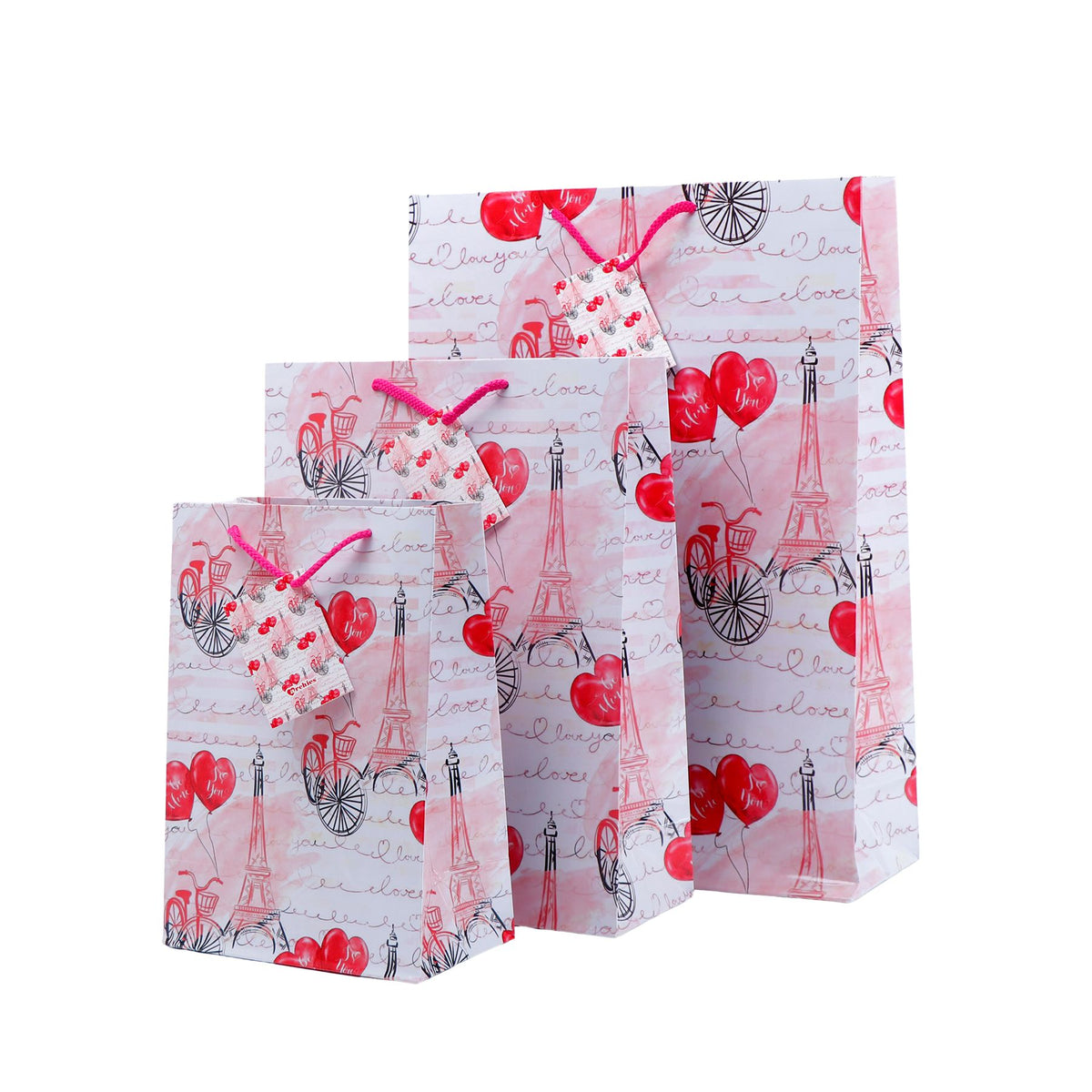 Love In Paris Print Paper Bags Pack of 3 (S/M/L)