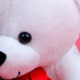 For My Love Teddy Bear with Rose and Greeting Card