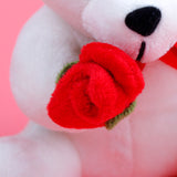 My Sweet Heart Teddy Bear with Rose and Greeting Card